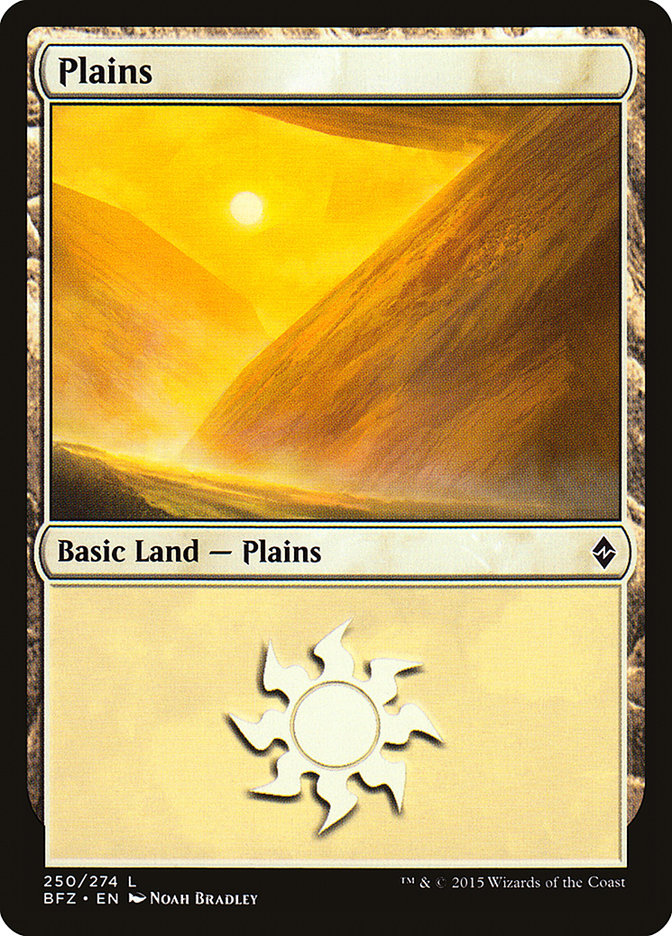 Plains (250) [Battle for Zendikar] - Evolution TCG