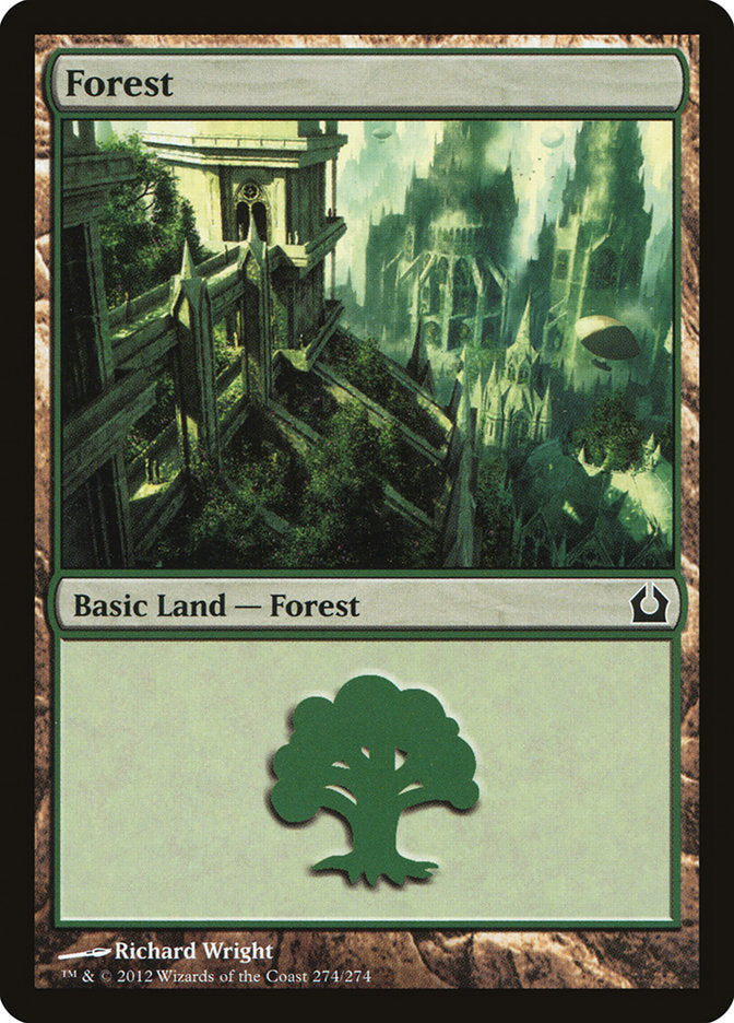 Forest (274) [Return to Ravnica] - Evolution TCG