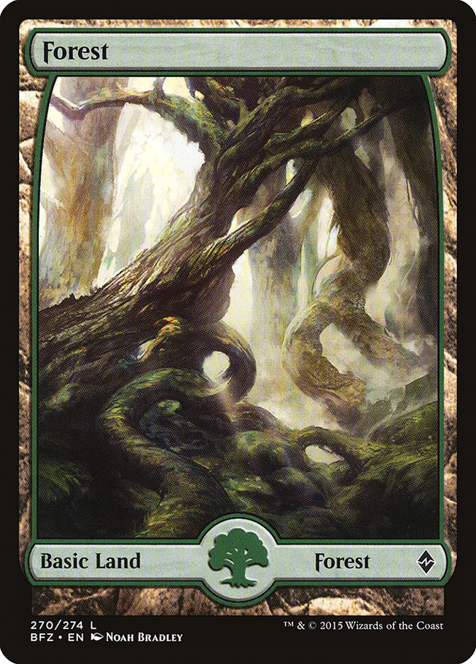 Forest (270) (Full Art) [Battle for Zendikar] - Evolution TCG