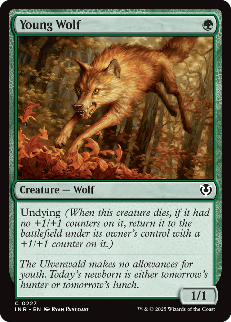 Young Wolf [Innistrad Remastered] - Evolution TCG