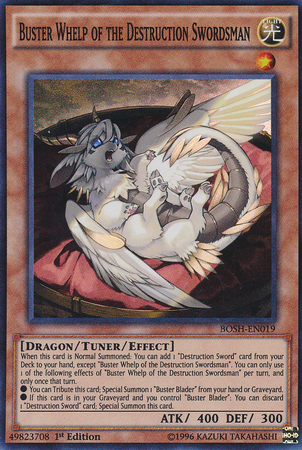 Buster Whelp of the Destruction Swordsman [BOSH-EN019] Super Rare - Evolution TCG