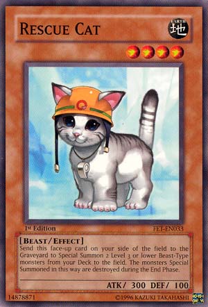 Rescue Cat [FET-EN033] Common - Evolution TCG