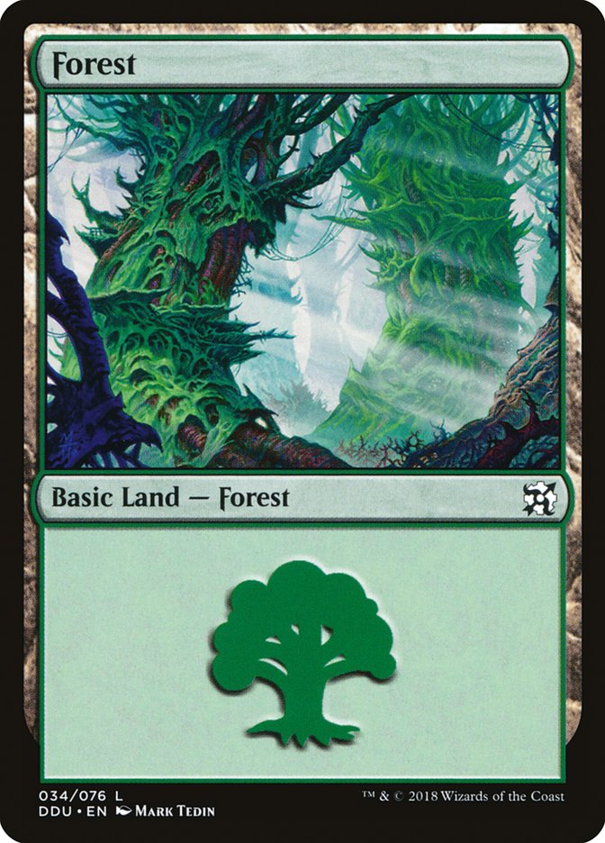 Forest (34) [Duel Decks: Elves vs. Inventors] - Evolution TCG