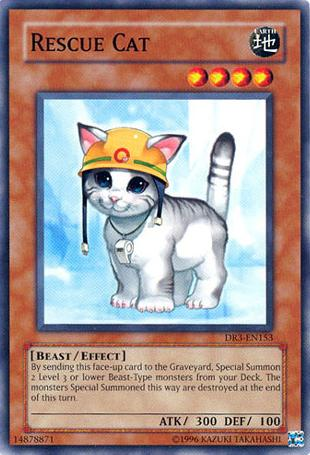 Rescue Cat [DR3-EN153] Common - Evolution TCG