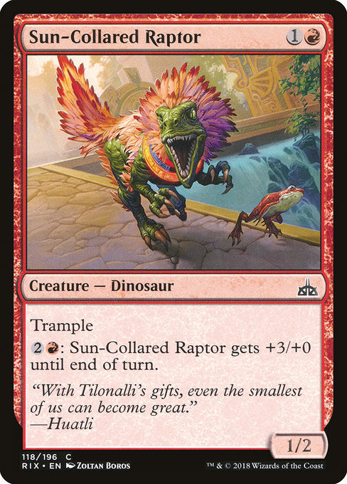 Sun-Collared Raptor [Rivals of Ixalan] - Evolution TCG
