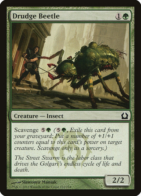 Drudge Beetle [Return to Ravnica] - Evolution TCG