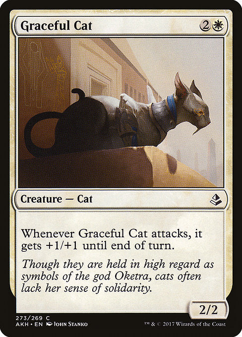Graceful Cat [Amonkhet] - Evolution TCG