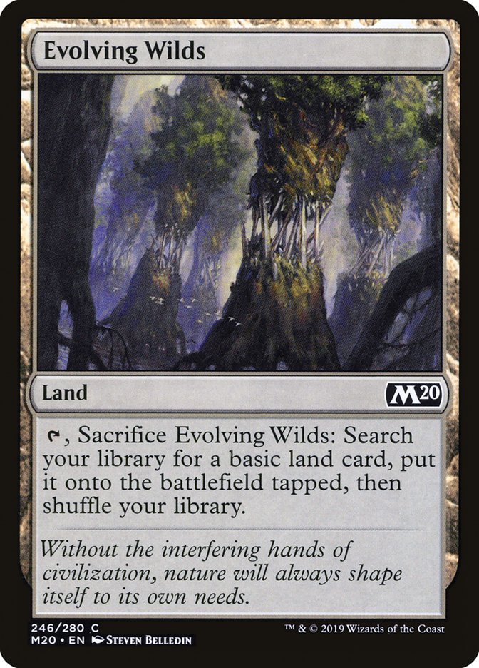 Evolving Wilds [Core Set 2020] - Evolution TCG