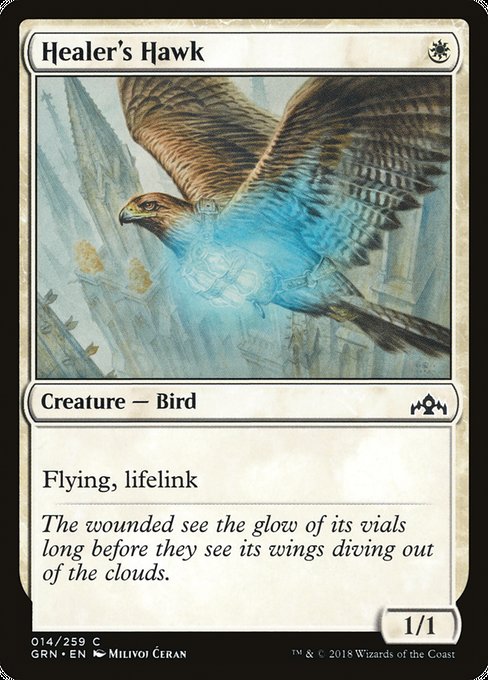 Healer's Hawk [Guilds of Ravnica] - Evolution TCG