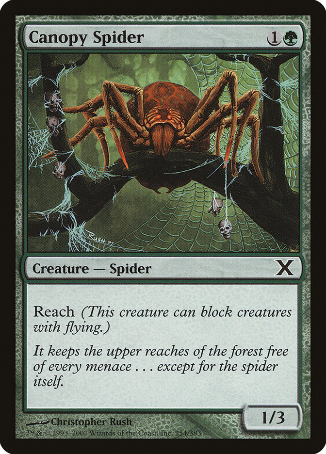 Canopy Spider [Tenth Edition] - Evolution TCG