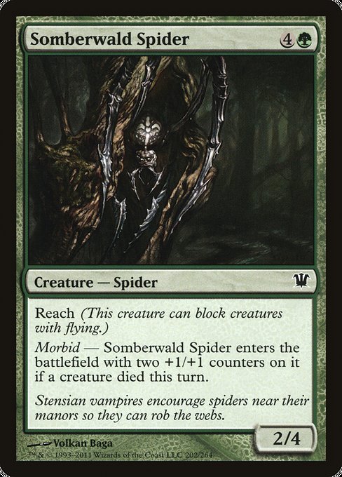 Somberwald Spider [Innistrad] - Evolution TCG