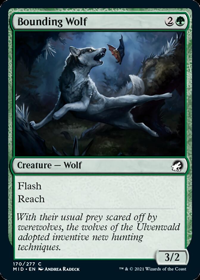 Bounding Wolf [Innistrad: Midnight Hunt] - Evolution TCG