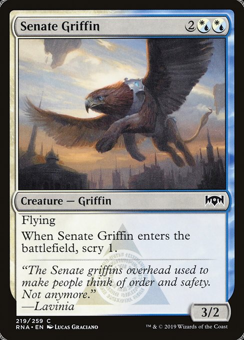 Senate Griffin [Ravnica Allegiance] - Evolution TCG