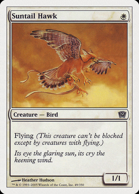 Suntail Hawk [Ninth Edition] - Evolution TCG