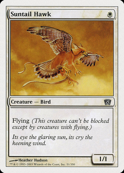 Suntail Hawk [Eighth Edition] - Evolution TCG