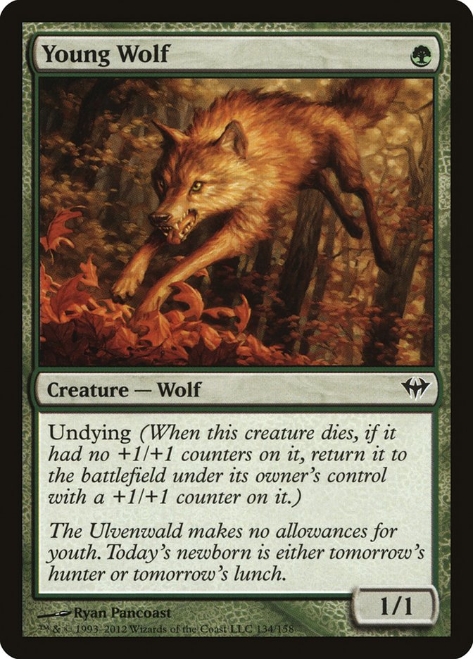Young Wolf [Dark Ascension] - Evolution TCG