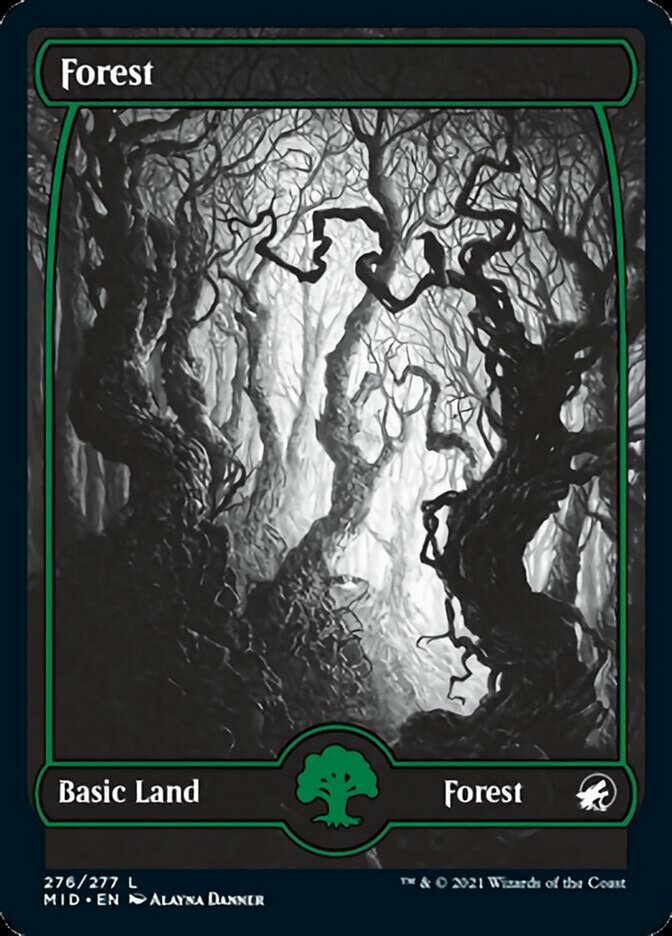 Forest (276) [Innistrad: Midnight Hunt] - Evolution TCG