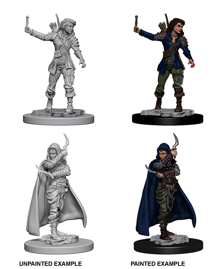 Pathfinder Minis: Deep Cuts Wave 1- Human Female Rogue - Evolution TCG