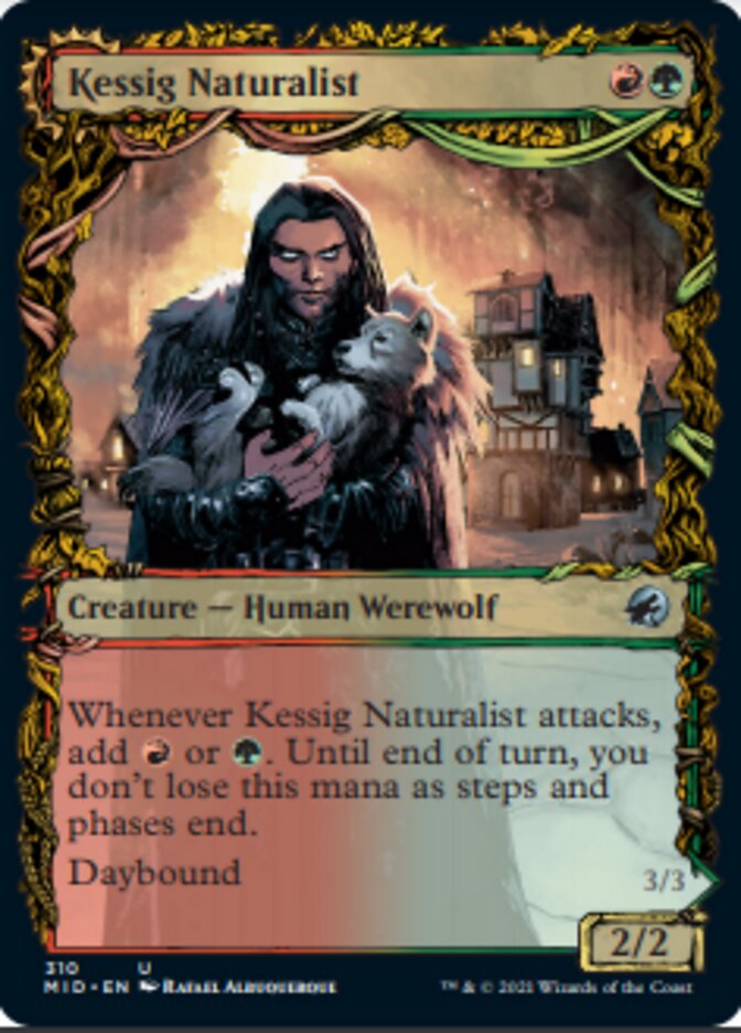 Kessig Naturalist // Lord of the Ulvenwald (Showcase Equinox) [Innistrad: Midnight Hunt] - Evolution TCG