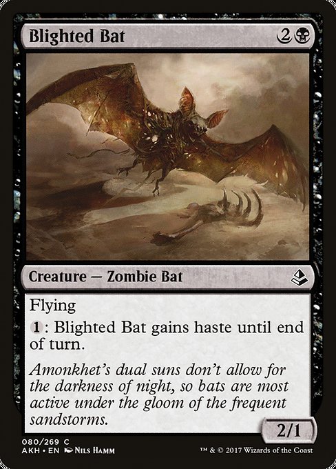 Blighted Bat [Amonkhet] - Evolution TCG