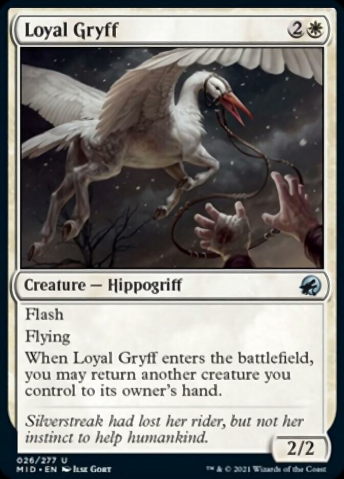 Loyal Gryff [Innistrad: Midnight Hunt] - Evolution TCG