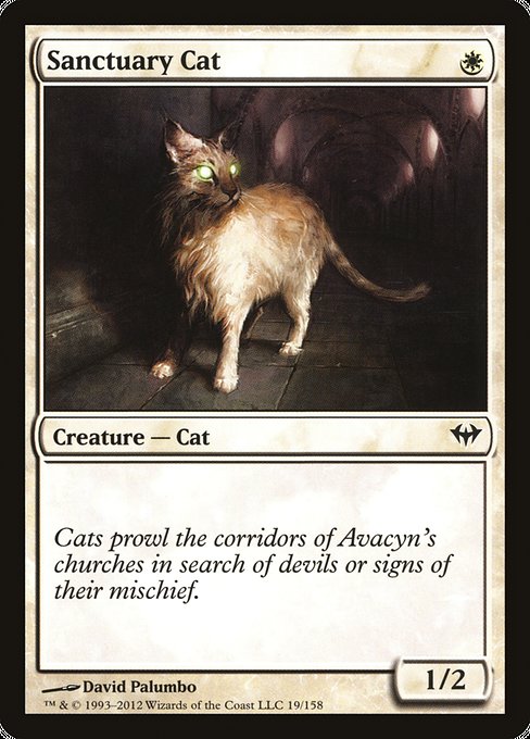 Sanctuary Cat [Dark Ascension] - Evolution TCG