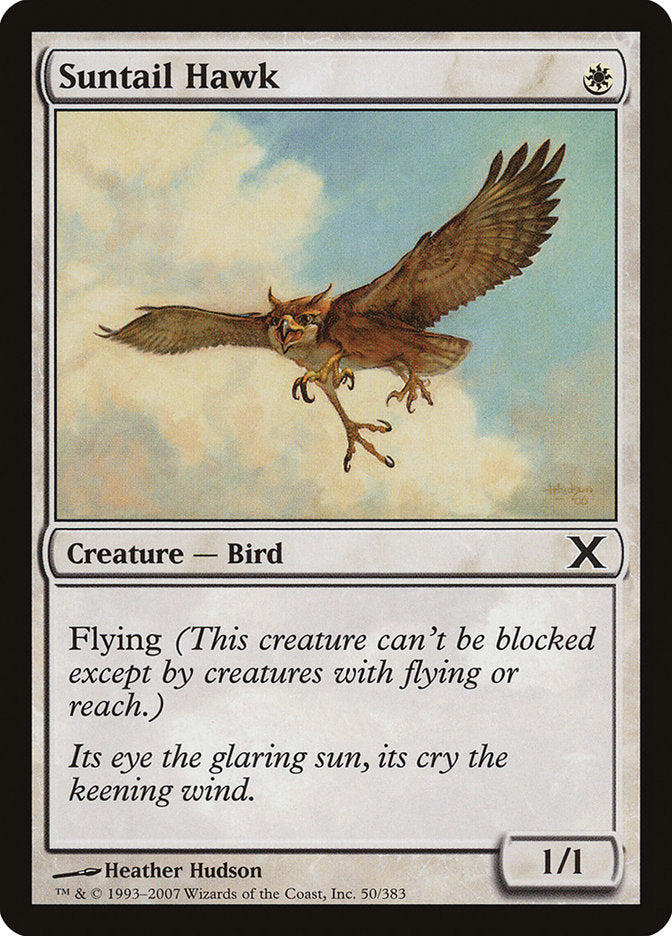 Suntail Hawk [Tenth Edition] - Evolution TCG