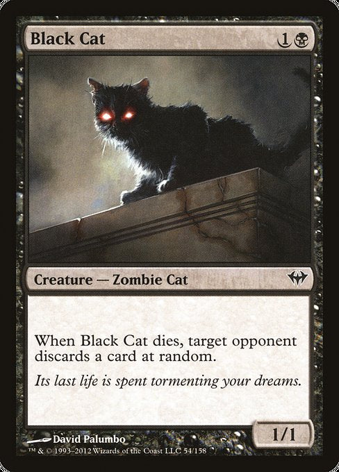 Black Cat [Dark Ascension] - Evolution TCG