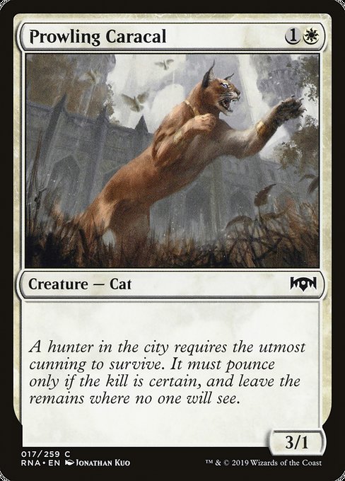 Prowling Caracal [Ravnica Allegiance] - Evolution TCG