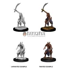 D&D Nolzur’s Marvelous Miniatures – Jackalwere - Evolution TCG